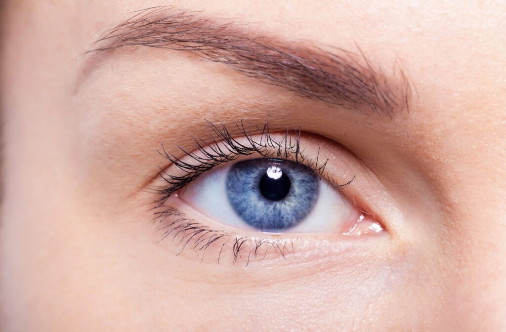 A close-up image of a blue right eye.