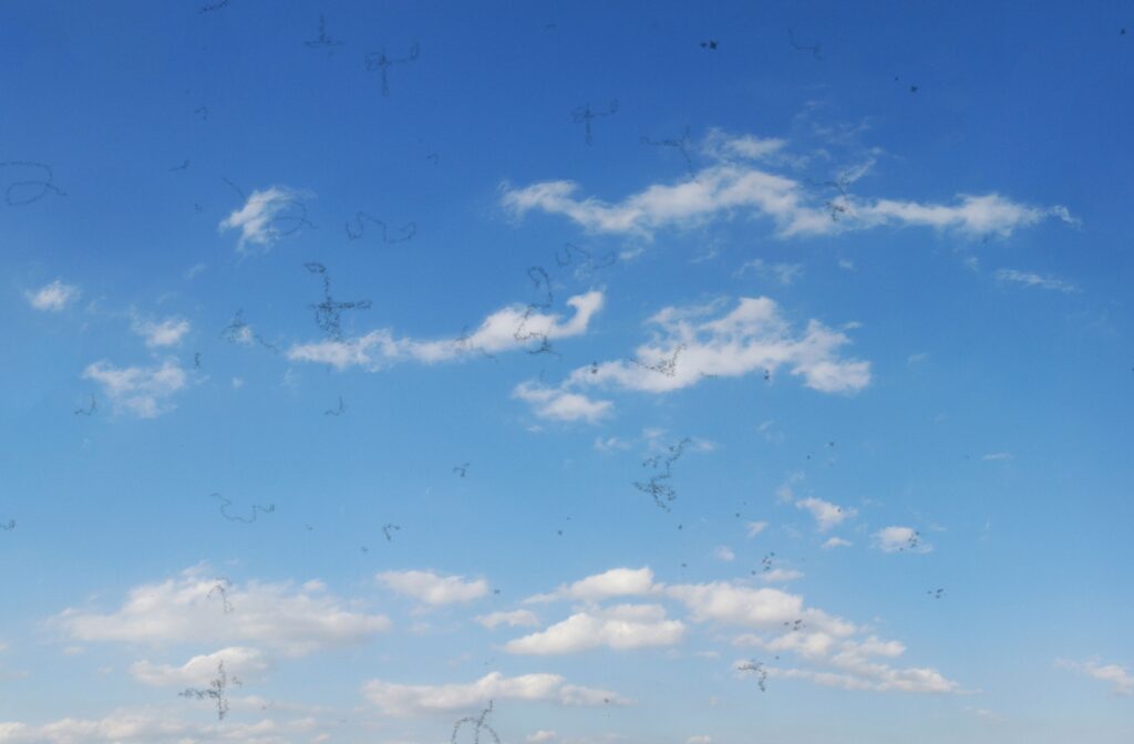 An image of a blue sky with clouds from the perspective of someone with floaters in their vision.